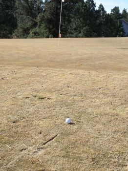 Lee comes within feet of driving the green on par 4 #7.