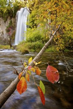 Spearfish Falls.