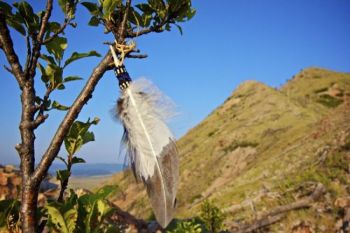 A sign of Bear Butte's sacred significance - a feather and bead offering graces the trail.