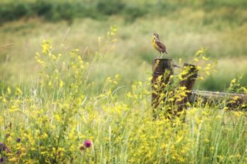 Near the northwest corner of Sioux Falls.