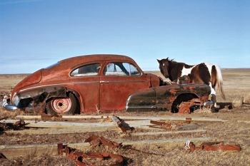 OLD PAINT. This was shot west of Pierre at Hayes Garage. Of all the photographs in the collection, it is among my favorites.