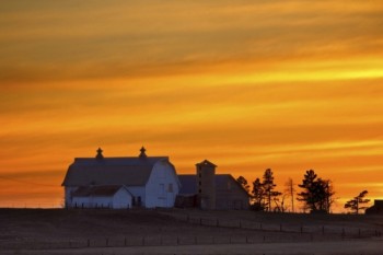 This farm scene was shot near Ardmore, South Dakota.