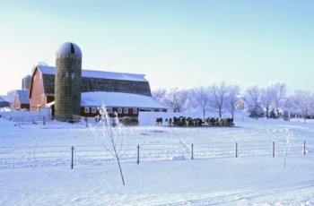 Winter scenes can tend to turn blue, which often adds to a cold feeling in a photo. It’s not always a bad thing.