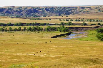 The Moreau River breaks where I grew up along the Ziebach and Dewey County line.