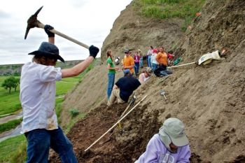 The crew cut away at the cliff side, finding ancient bones and ligaments along the way.