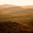 Early morning view of the Sand Hills of South Dakota. Click to enlarge photos.