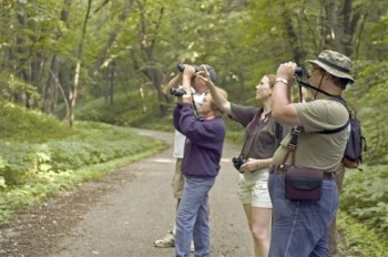 A family birding expedition. Photo by SD Tourism.