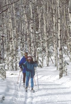Cross-country skiiers glide through the Black Hills National Forest. Photo by SD Tourism.