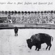 Folks from both sides of the border gathered to watch the contest between Scotty Philip s buffalo and a Juarez fighting bull.