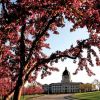 Blooming lilac and crab apple trees provide a splash of color to the state capitol grounds in Pierre. Photos by Scott Howard/S.D. Tourism.