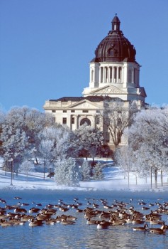 Thousands of geese congregate on Capitol Lake in Pierre each winter.