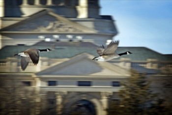 Panning with moving objects can render them sharply frozen against a blurry background and give a feeling of speed.
