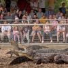 Seeing crocodiles, alligators and other wild beasts in action is part of the fun at Reptile Gardens. Photo by Chad Coppess of South Dakota Tourism. Click to enlarge photos.