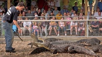 Rapid City S Reptile Gardens