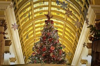Nearly 100 finely decorated trees fill the state capitol with holiday cheer. 2010 photo by <a href='http://www.dakotagraph.com' target='_blank'>Chad Coppess</a> of SD Tourism.