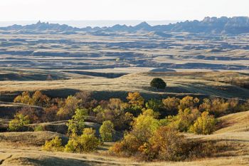 Fall colors in the draws of Sage Creek Wilderness.