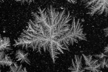 Macro shot of frost formation on window during an evening blizzard on Jan. 3.