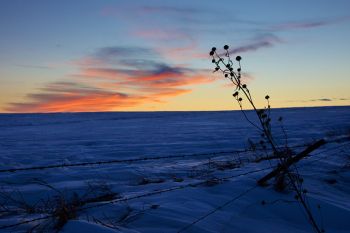 Evolving sunset colors west of Sioux Falls.