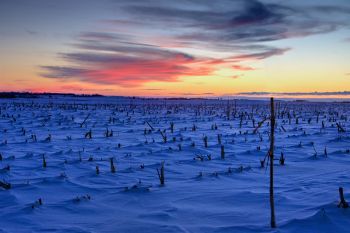 Evolving sunset colors west of Sioux Falls.