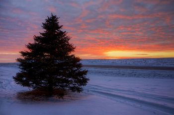 The view just 10 steps from my front door on a mid-January evening.