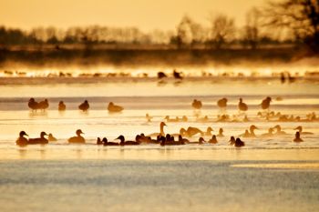 A cold morning on Silver Lake.