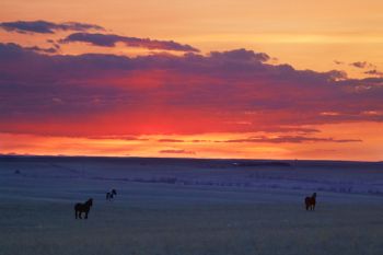 Sunset on the prairies of Jones County southwest of the Fort Pierre National Grasslands.