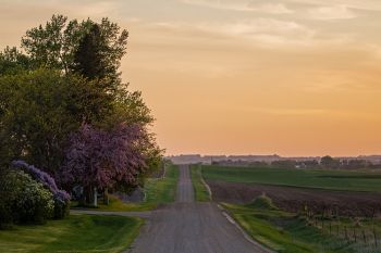 Driving home from Palisades State Park among lilacs and dogwood in bloom.