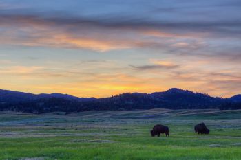 Sunset along Highland Ridge Road.