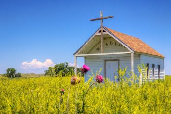 Tiny Swallow Church of Pine Ridge Reservation surrounded by yellow sweet clover and a lone thistle in bloom