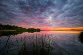 Reflected sunset color at Scott Slough northwest of Hartford.