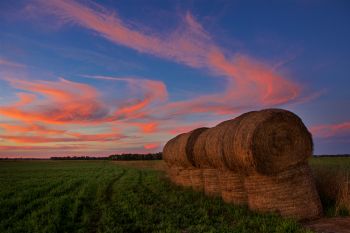 Late summer sunset in the old alfalfa field.