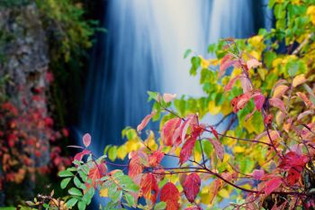 Upper Roughlock Falls.