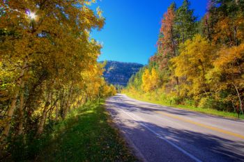 Morning light in Spearfish Canyon.