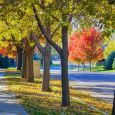 Along Ralph Rogers Road in south Sioux Falls.