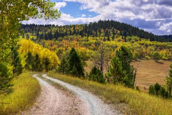 A favorite view of Vanocker Canyon in the northern Black Hills.