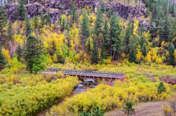 Fall colors along the Mickelson Trail near Rochford.