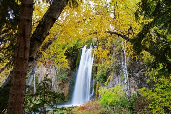 Spearfish Falls at Savoy.