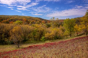 The east side of Sica Hollow State Park.