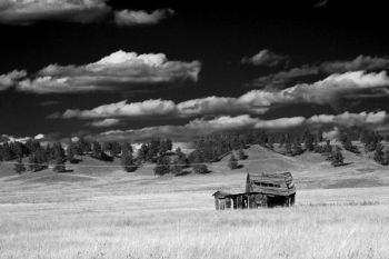 Alone on the prairies of southwestern Custer County.