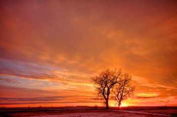 The setting winter sun painting most of the western sky with warm color.