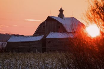 Sanborn County barn.