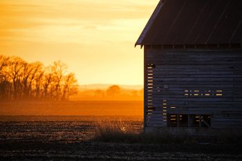 The last light shining through the dust of the day’s work.