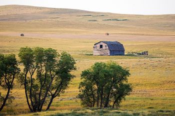 Perkins County barn.