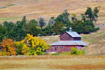 Harding County barn.