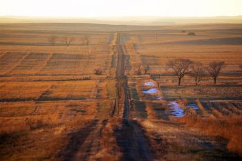 Dewey County road on Thanksgiving Day.