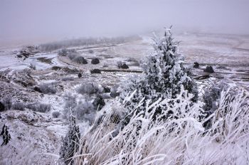 Moreau River breaks in Ziebach County on Christmas Day.