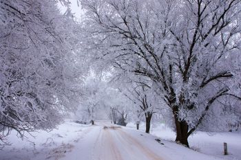 The road around Isabel Lake adorned with frost and snow on Christmas Day.