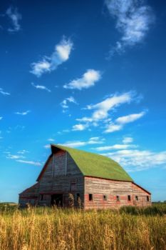 An unused barn near Oak Lake.