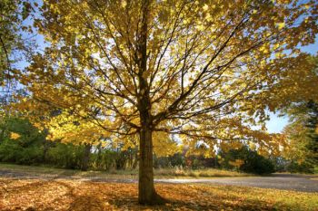 Autumn splendor at Union Grove State Park.