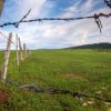 A fence line accentuates the green prairies that border the Hogback near St. Onge. Click to enlarge pictures.